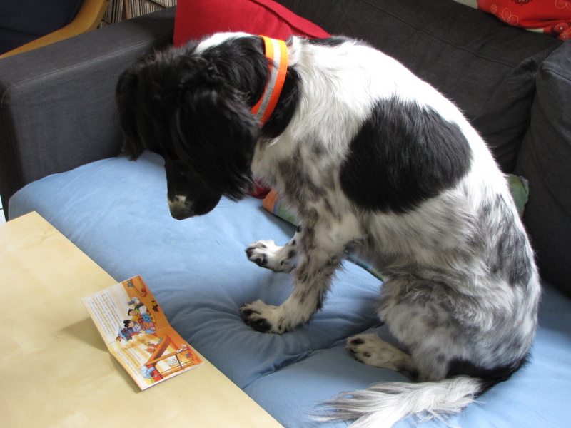 Schulhund Anna im Unterricht