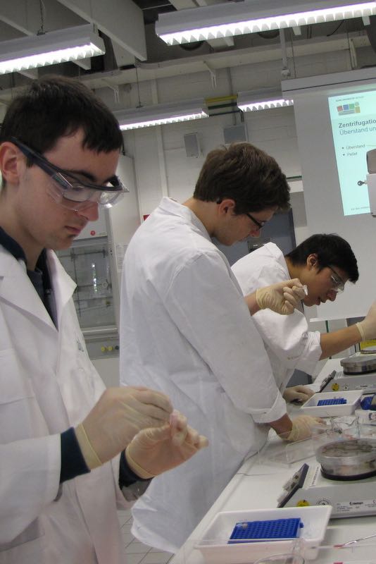 Arbeiten im Schülerlabor beim Genetikpraktikum