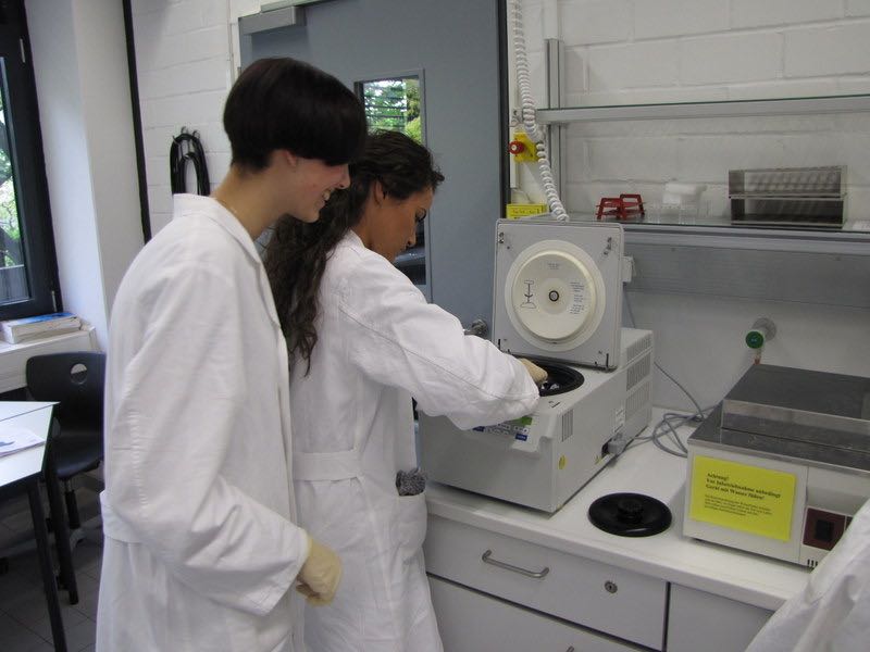 Auswertung beim Genetikpraktikum