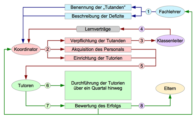 Schema: Organisation der Tutorien im Quartalszyklus